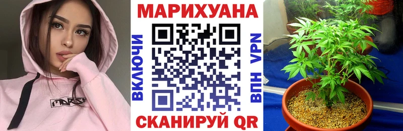 Где купить Елизово А ПВП Канабис Меф hydra как зайти КОКАИН ГАШ
