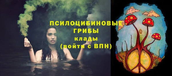 2c-b Алексеевка