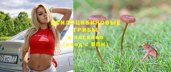герыч Алзамай