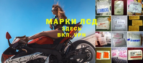 ПСИЛОЦИБИНОВЫЕ ГРИБЫ Алексин