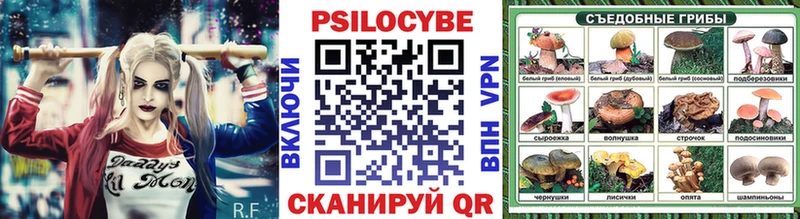 наркотики  Елизово  Галлюциногенные грибы GOLDEN TEACHER 