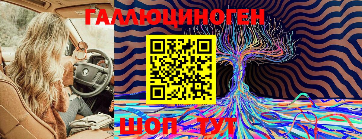 Псилоцибиновые грибы Psilocybine cubensis Елизово