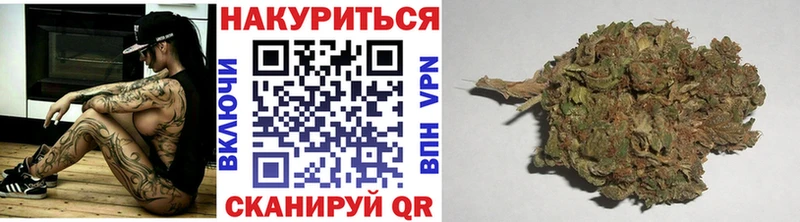 как найти наркотики Елизово МАРИХУАНА семена
